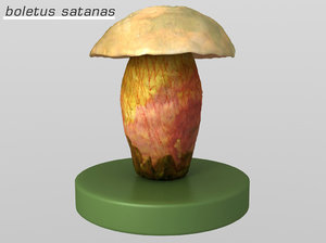 3d poisonous mushroom model
