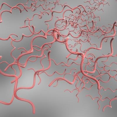 3d bacteria 3d paint download