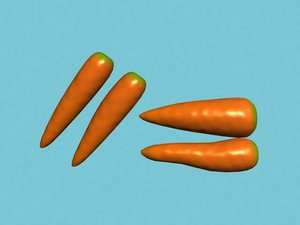3d carrot vegetables model