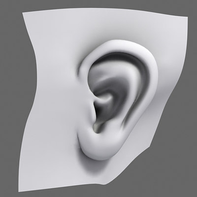 3d model human ear