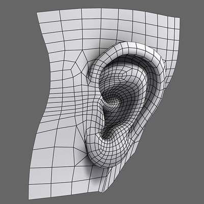 3d model human ear