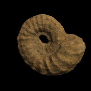 3dsmax fossil ammonite
