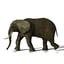 max elephant rigged polys animation
