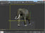 max elephant rigged polys animation