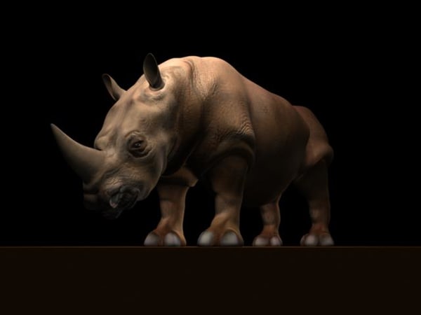 rhino 3 d