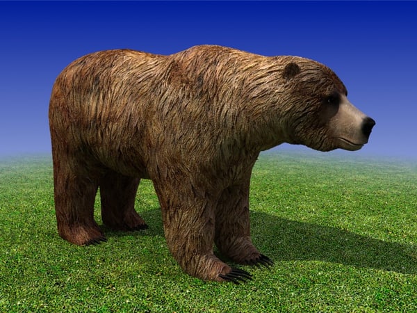 Lower bear. Grizzly 3d model. 3д модель Гризли. Медведь модель. Медведь 3д модель.