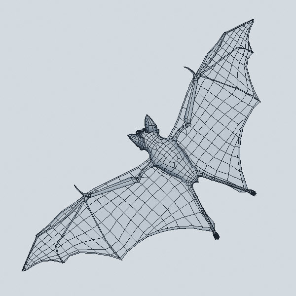 bat wings 3d model