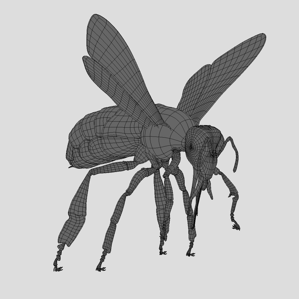 蜜蜂3d模型