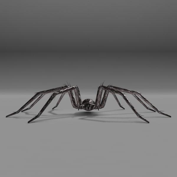 3D OBJ Spider Model Bug