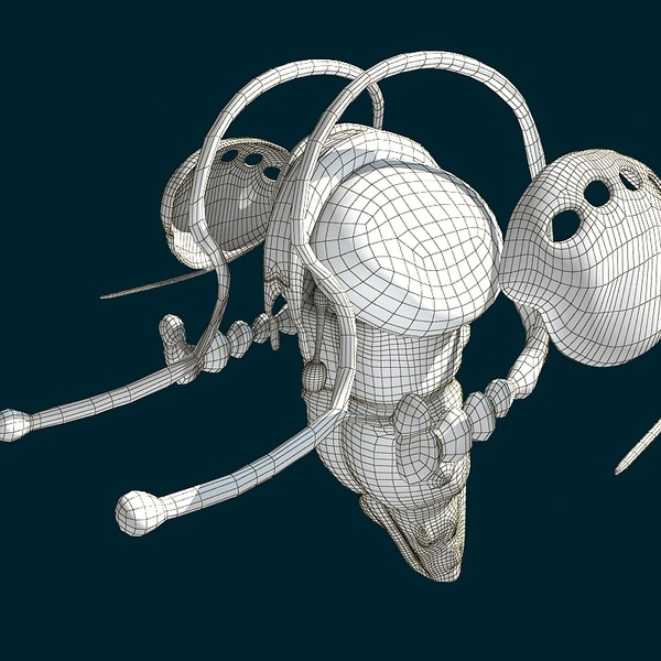 3D Rhino Brain Anatomy Human