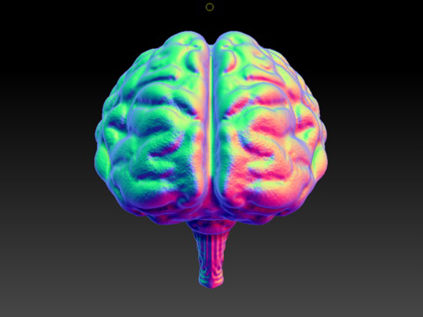 brain surface in zbrush