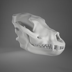 3d model of dog skull