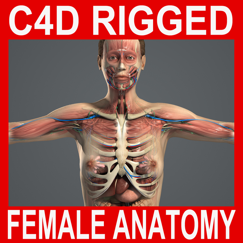 complete anatomy free