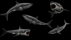 great white shark 3ds