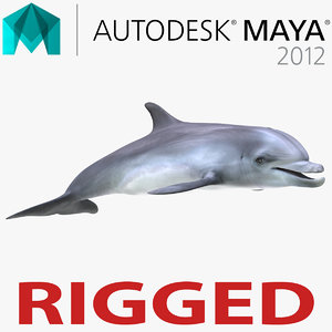 Dolphin Rigged for Maya