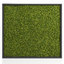 moss wall multiscatter scattering 3d model