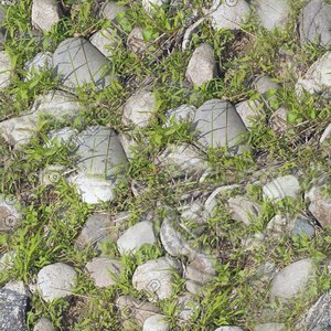 Plants with Gravel [2K Tileable Texture]