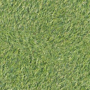 Grass [4K Tileable Texture]