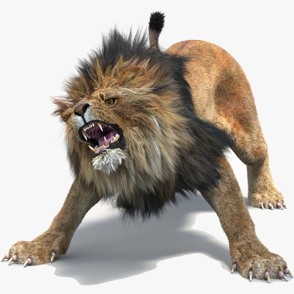 Modele 3d De Lion 2 Fourrure Anime Turbosquid