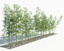 bamboo trees 3 max
