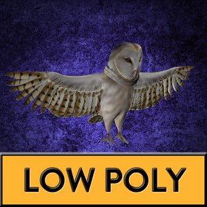 barn owl 3D model