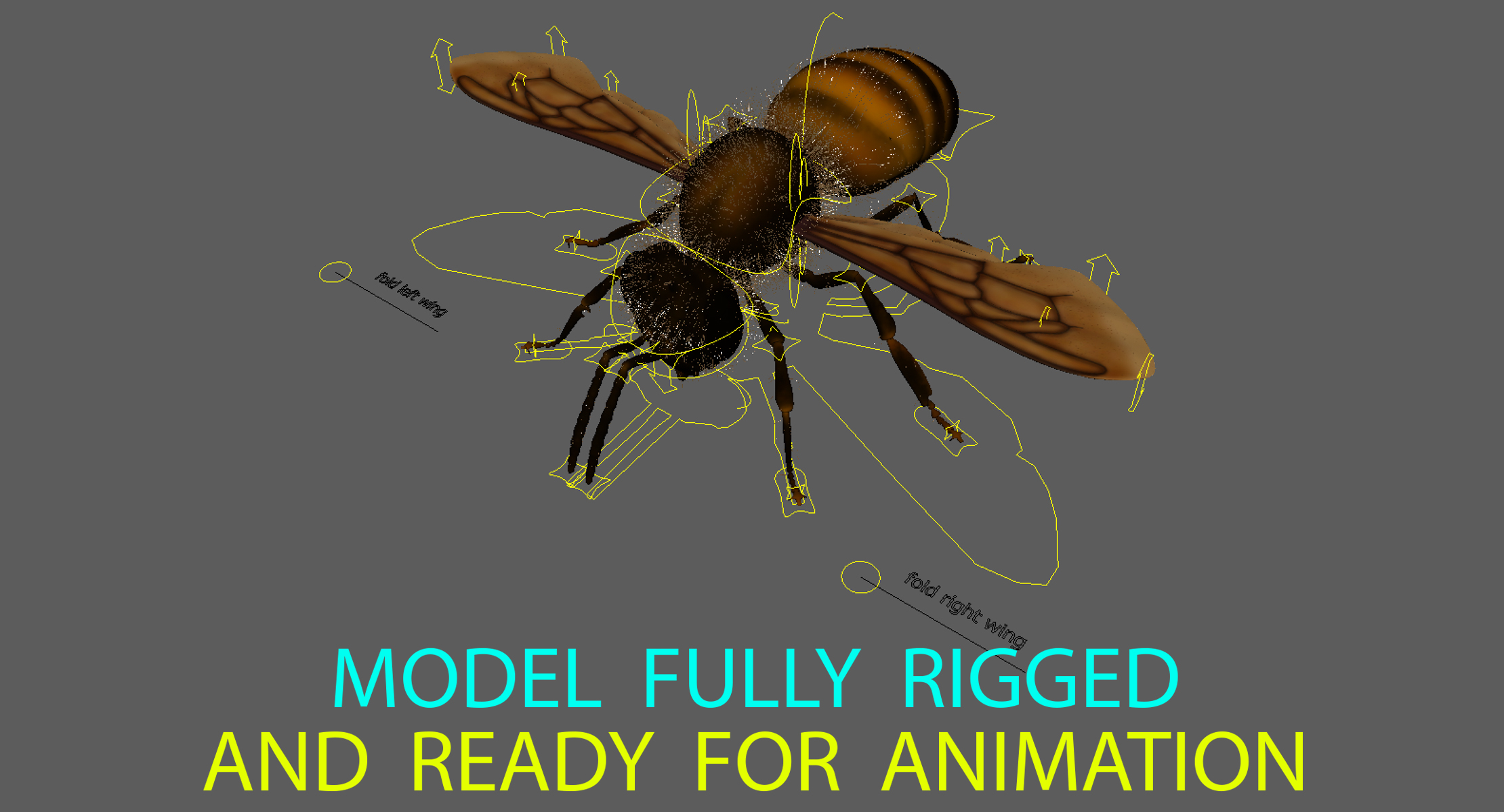 3D honey bee animation model | 1141992 | TurboSquid