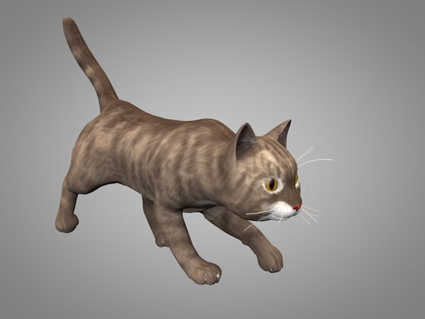 3D cat kitty model | 1142019 | TurboSquid