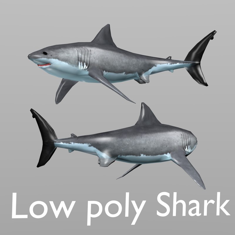 street sharks 3d model download
