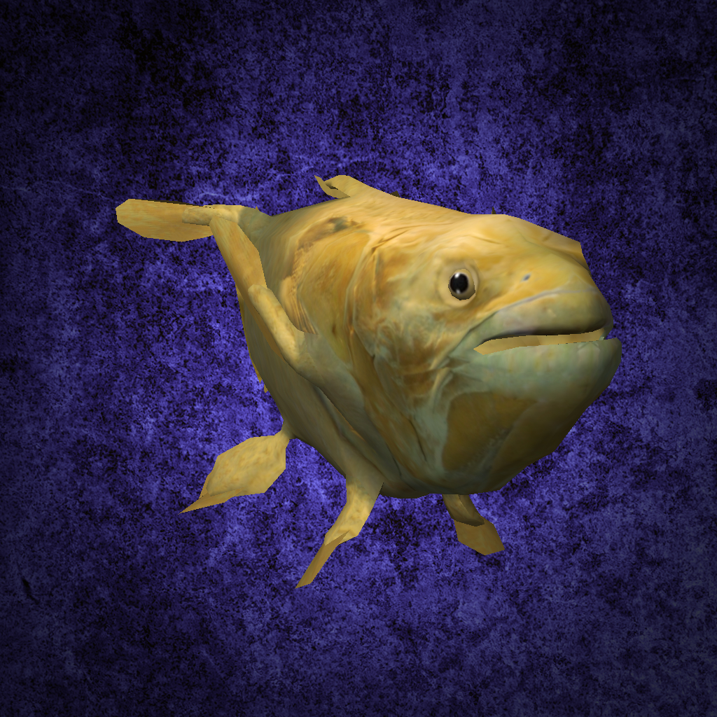 coelacanth fish 3d model
