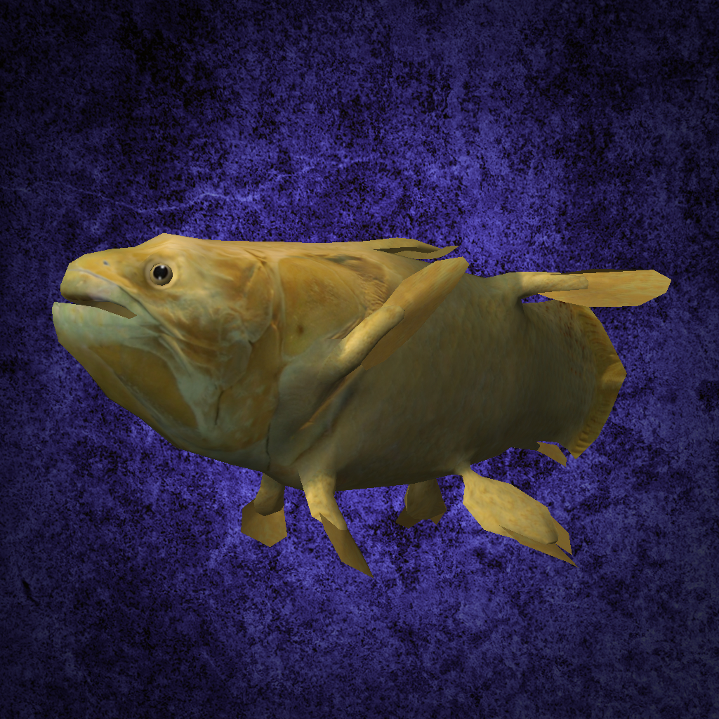 coelacanth fish 3d model