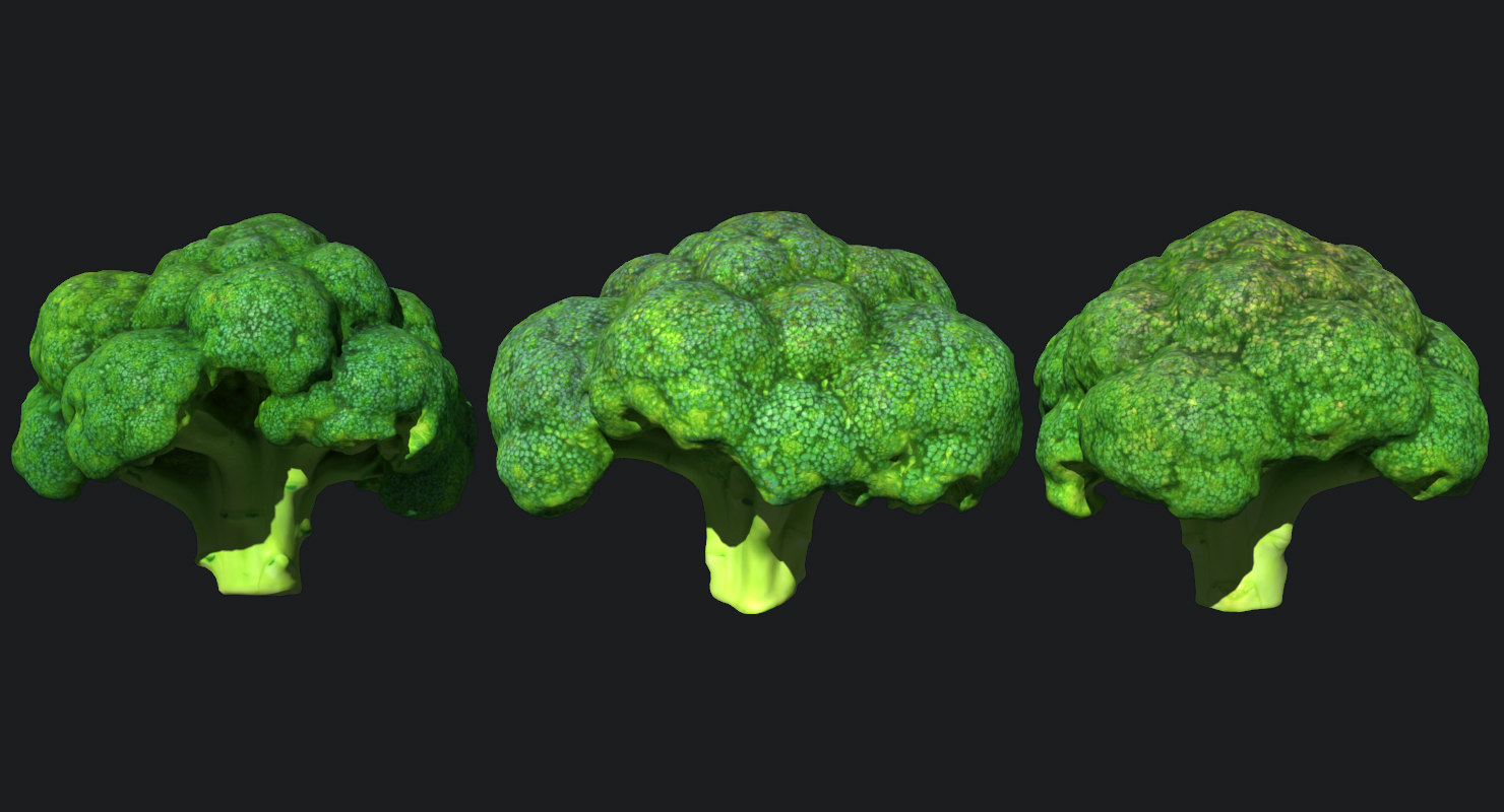 Broccoli Scan 3d 1142471 Turbosquid 6464