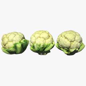 cauliflower scan 3D model