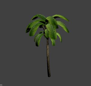 palm 3D model
