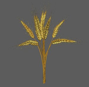 wheat golden model