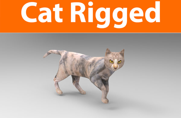 3D cat rigged
