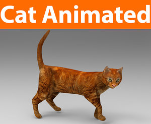 3D cat animations