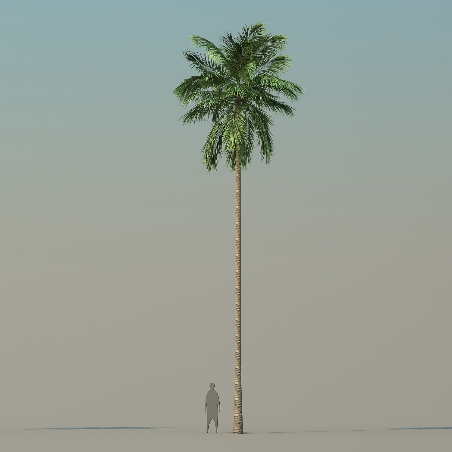 3d coconut palm