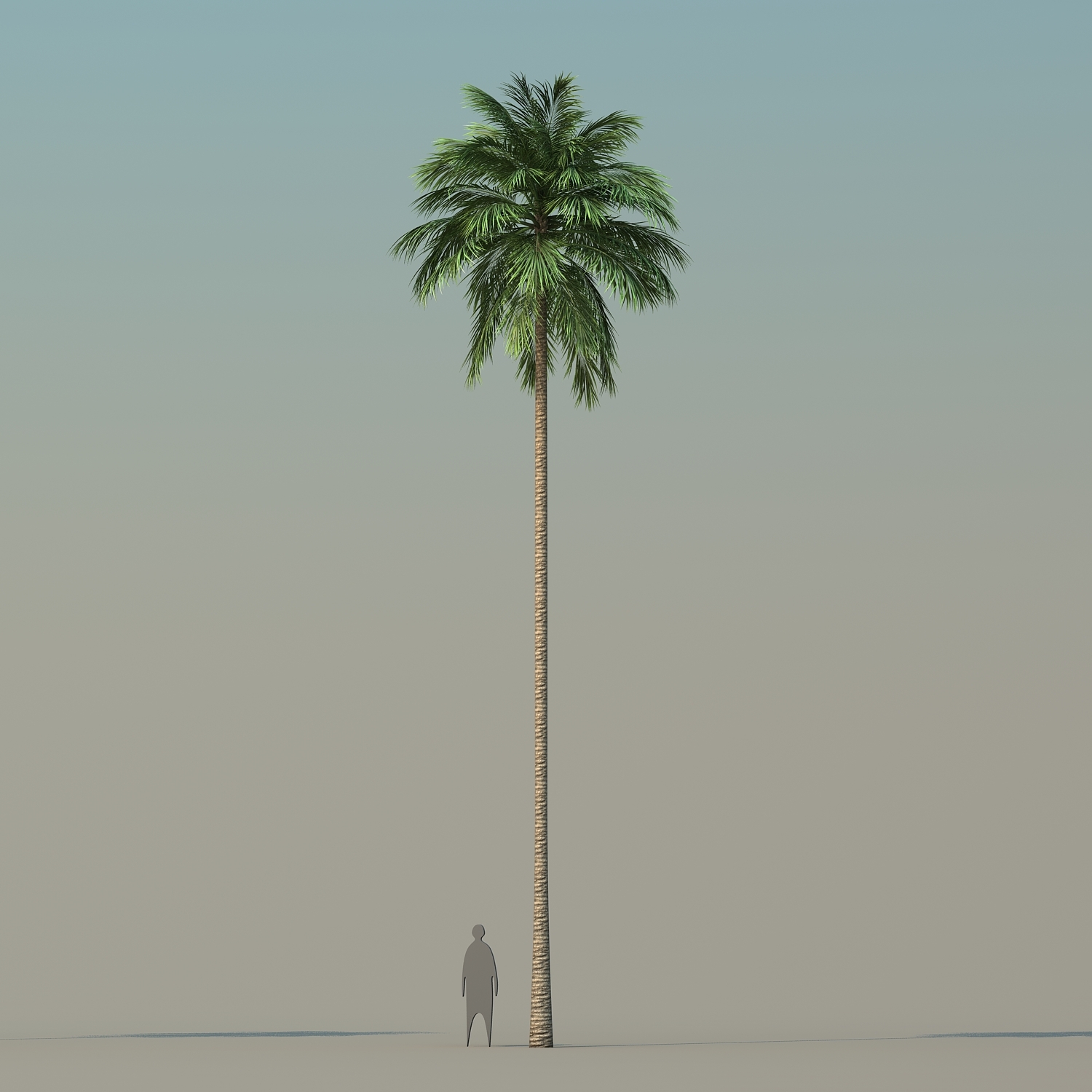 3d coconut palm