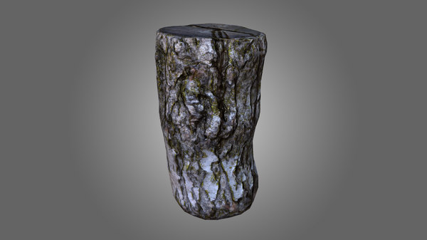バーチログpbrゲーム対応3dモデル Turbosquid バーチログpbrゲーム対応3dモデル Turbosquid