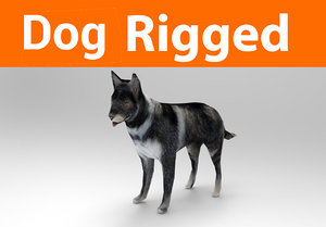 german shepherd dog rigged 3D model