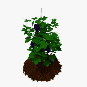3D model cartoon plants