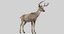 deer rigged 3D model