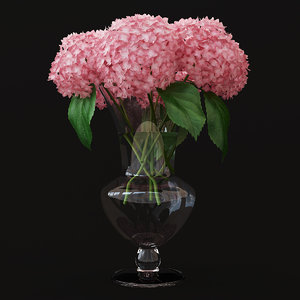 pink hydrangea 3D model