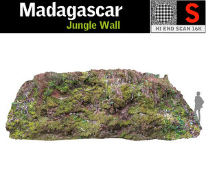 3D jungle wall 16k model
