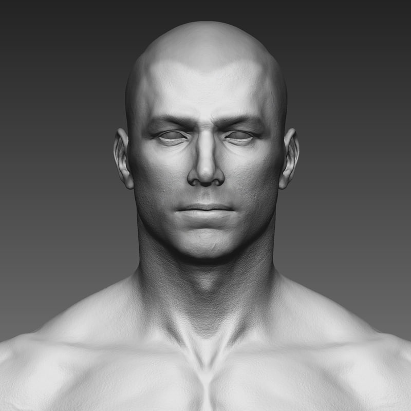 3d human drawing model