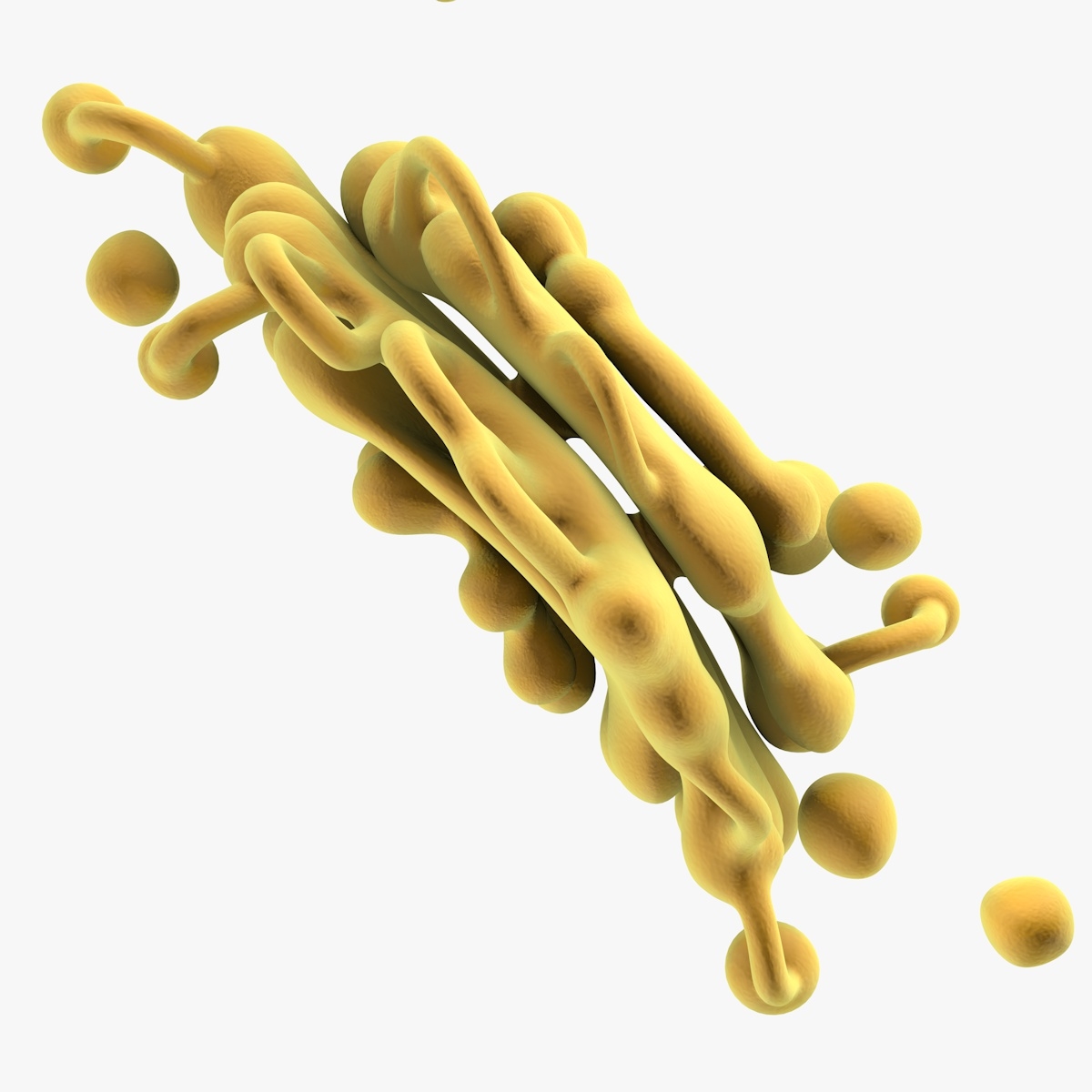 3d golgi apparatus