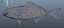 3D pilotfish fish
