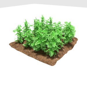 3D potatoes 3 growth stages