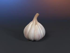 3D garlic render model