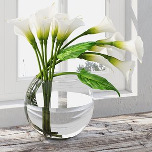3D calla lily model